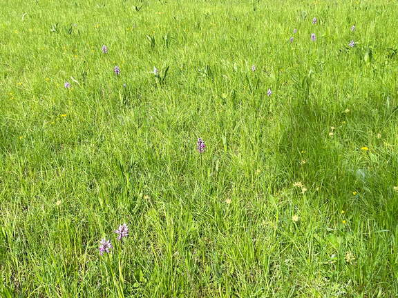 22-05-08 11-07-16 0764